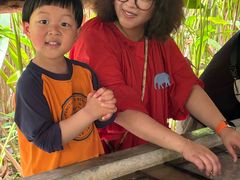 -大象粑粑造纸公园