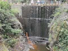 -大奇山国家森林公园