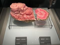 -安徽省地质博物馆