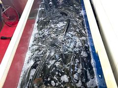 -活鱼馆(宜兴埠店)