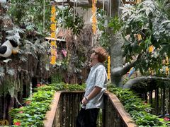-正佳雨林生态植物园
