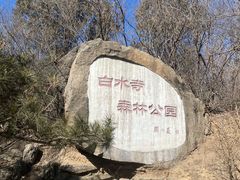 -白水寺森林公园