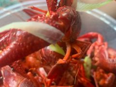 -京悦南门涮羊肉·羊蝎子火锅(田林路店)