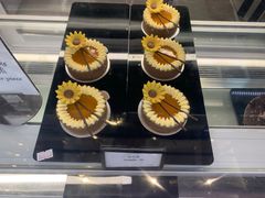 -上海新发展亚太JW万豪酒店