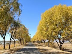 -野鸭湖国家湿地公园