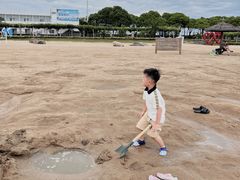 -碧海金沙