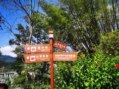 -三门海