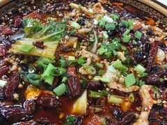 -乡土特色.冷锅鱼.牦牛肉汤锅