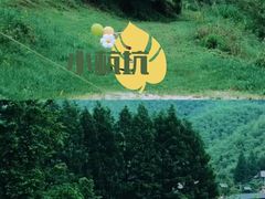 -老李家土菜馆·安吉地标美食