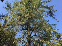 -溪口-滕头旅游景区