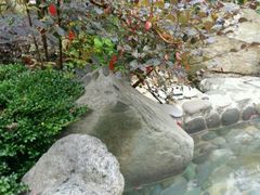 -黄山温泉国际旅游度假区