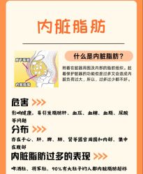 -Fundi张玉珊修身堂·indiba·BTL科技瘦身