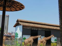 -灵玲国际马戏城