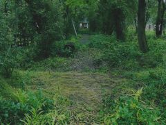 -鹅湖玫瑰文化园