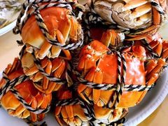 -乡乐园蟹庄·阳澄湖农家乐