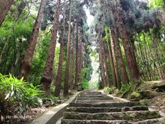 -峨眉山风景名胜区