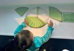 -北京科学中心儿童乐园