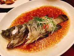 蒸&nbsp;鱼-环球港凯悦 · 享悦中餐厅
