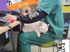 -雨林宠物医院 非犬猫异宠专科