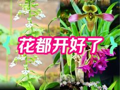 -国家植物园南园
