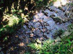 -会稽山峡洞漂流-上青古道