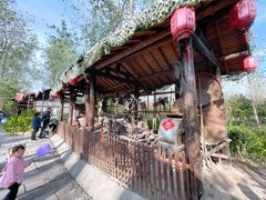 -合肥滨湖国家森林公园