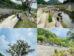 -北仑森林植物园