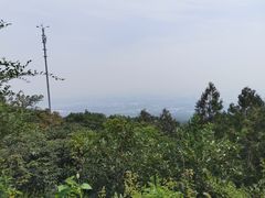 -阳台山自然风景区