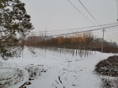 -北京西山滑雪场