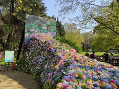 -上海共青森林公园