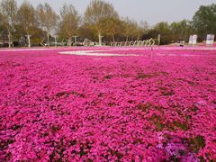 -石家庄市植物园