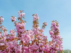 -羊亭河湿地公园