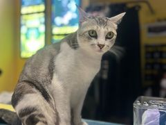 -谜盒子奇幻密室(南屏店)