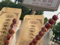 -和禄德冰糖葫芦