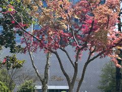 -上海电影博物馆