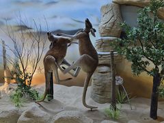 -西霞口神雕山野生动物世界