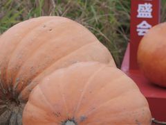 -中国天府农业博览园