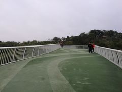 -飞凤山奥体公园
