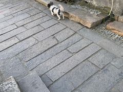 -黎里古镇