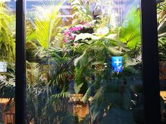-Soloist 独奏公司(798店)