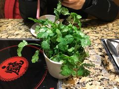 -黄记煌三汁焖锅(新世纪广场店)