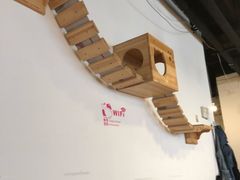 -Cappucimeow猫咪咖啡馆(韦伯时代店)