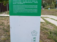 -坝河休闲公园