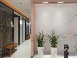 -广州萨谛艾扬格瑜伽中心