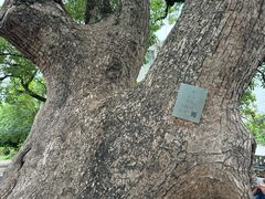 -清漾毛氏文化村