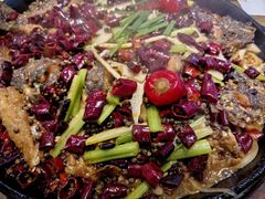 -老板恋上鱼(印象城店)