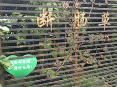 -广州神农草堂中医药博物馆