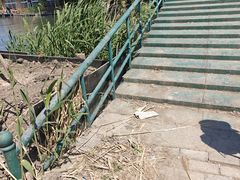 -白洋淀景区