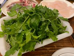 -正能量脆肉鲩火锅