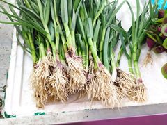 -万家邻里彩香菜市场